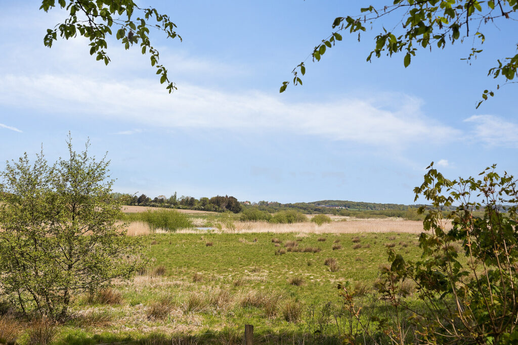 Aarslev Engsø