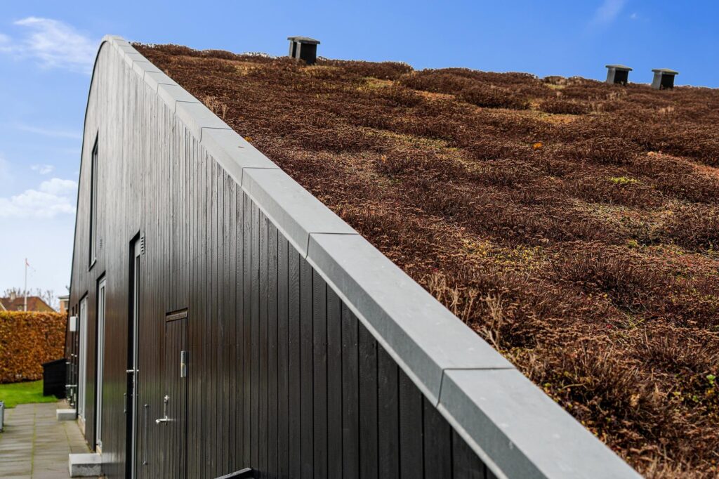 BIG m2 typehus til salg på fyn, arkitekttegnet hus til salg. Hill House, sedum tag