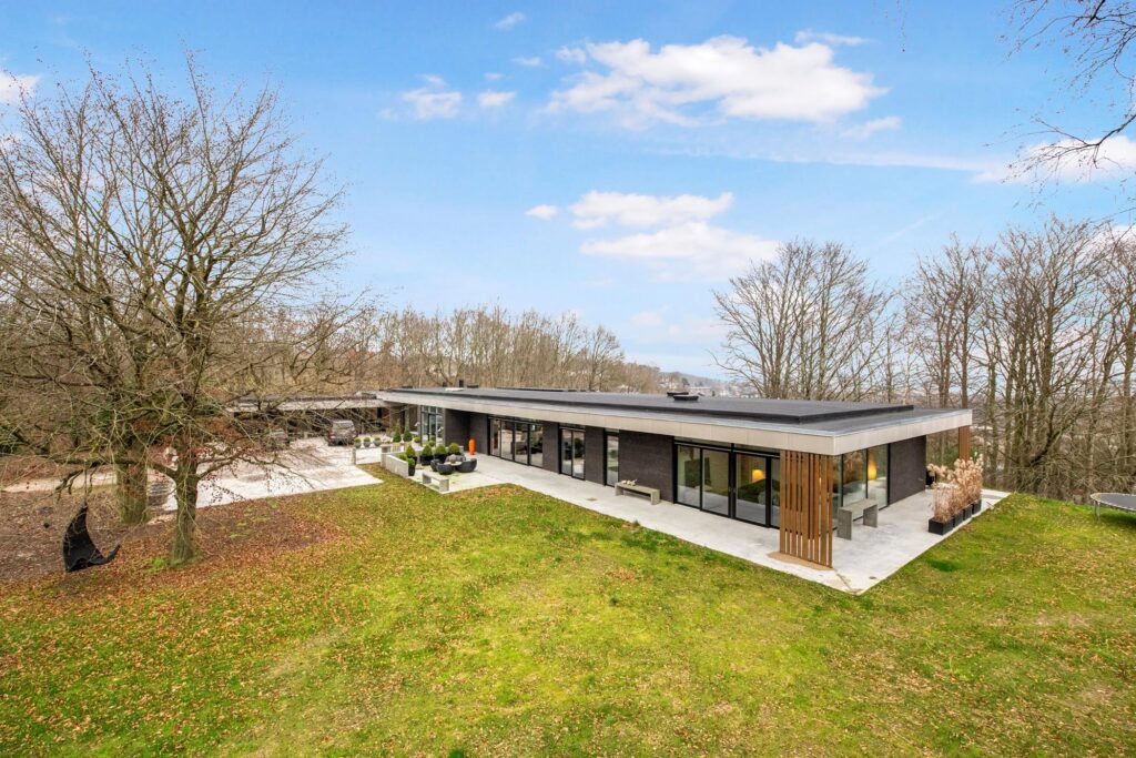 Arkitekttegnet hus i Randers, Modernistisk nybyggeri