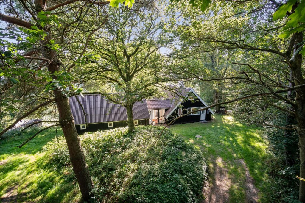 Arkitekttegnet fritidshus, arkitekttegnet 60'ersommerhus