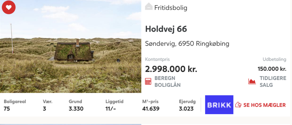 Sommerhus med stråtag til salg i Søndervig