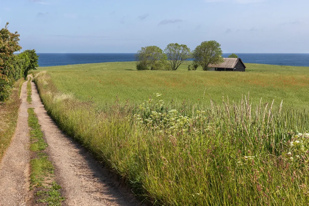 Arkitekttegnet fritidshus der ligger smukt i landskabet